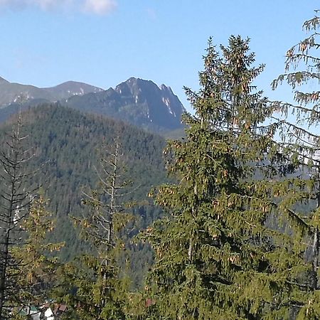 Apartament Z Kogutem Zakopane Extérieur photo
