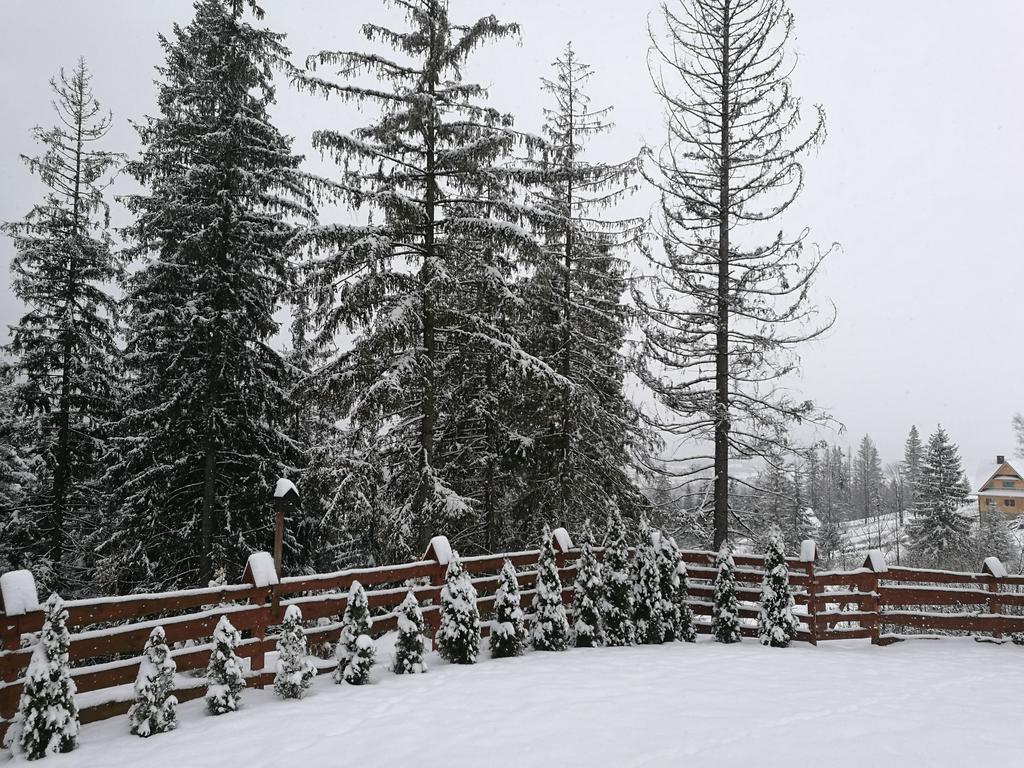 Apartament Z Kogutem Zakopane Extérieur photo